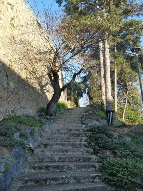 La Maison Saint Louis Cholet Esterno foto
